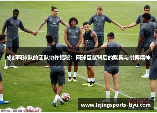 成都网球队的团队协作揭秘：网球巨献背后的默契与拼搏精神