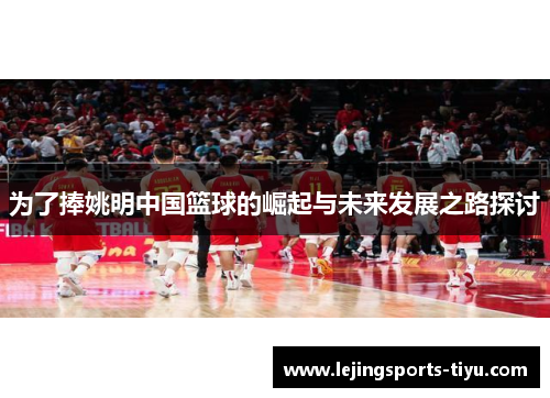 为了捧姚明中国篮球的崛起与未来发展之路探讨